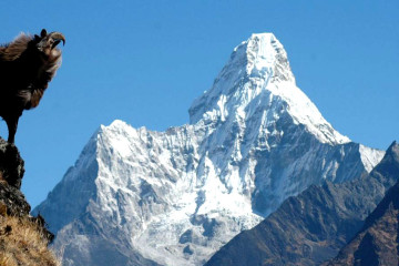 Mt. Ama Dablam Expedition